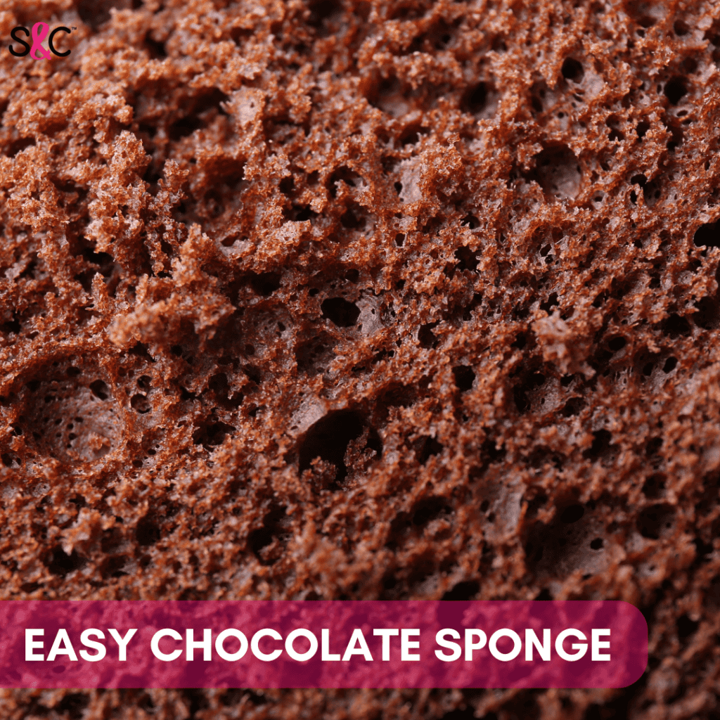 easy chocolate sponge